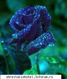 poze - loove_tom - Diferent Pics